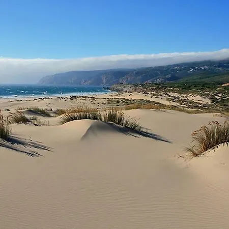 Santamaria *