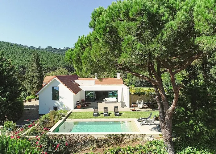 Santamaria * Colares